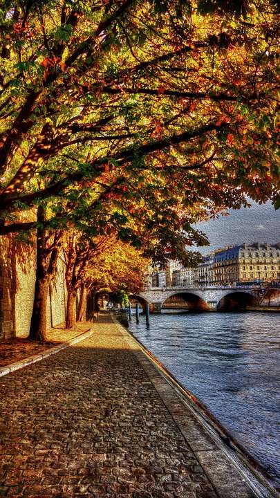 Seine